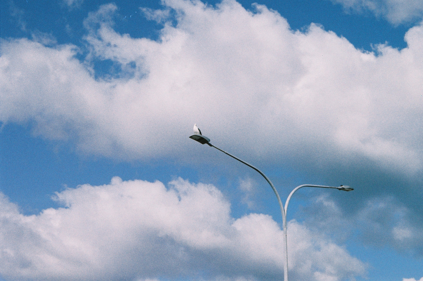Minolta Dynax 300si