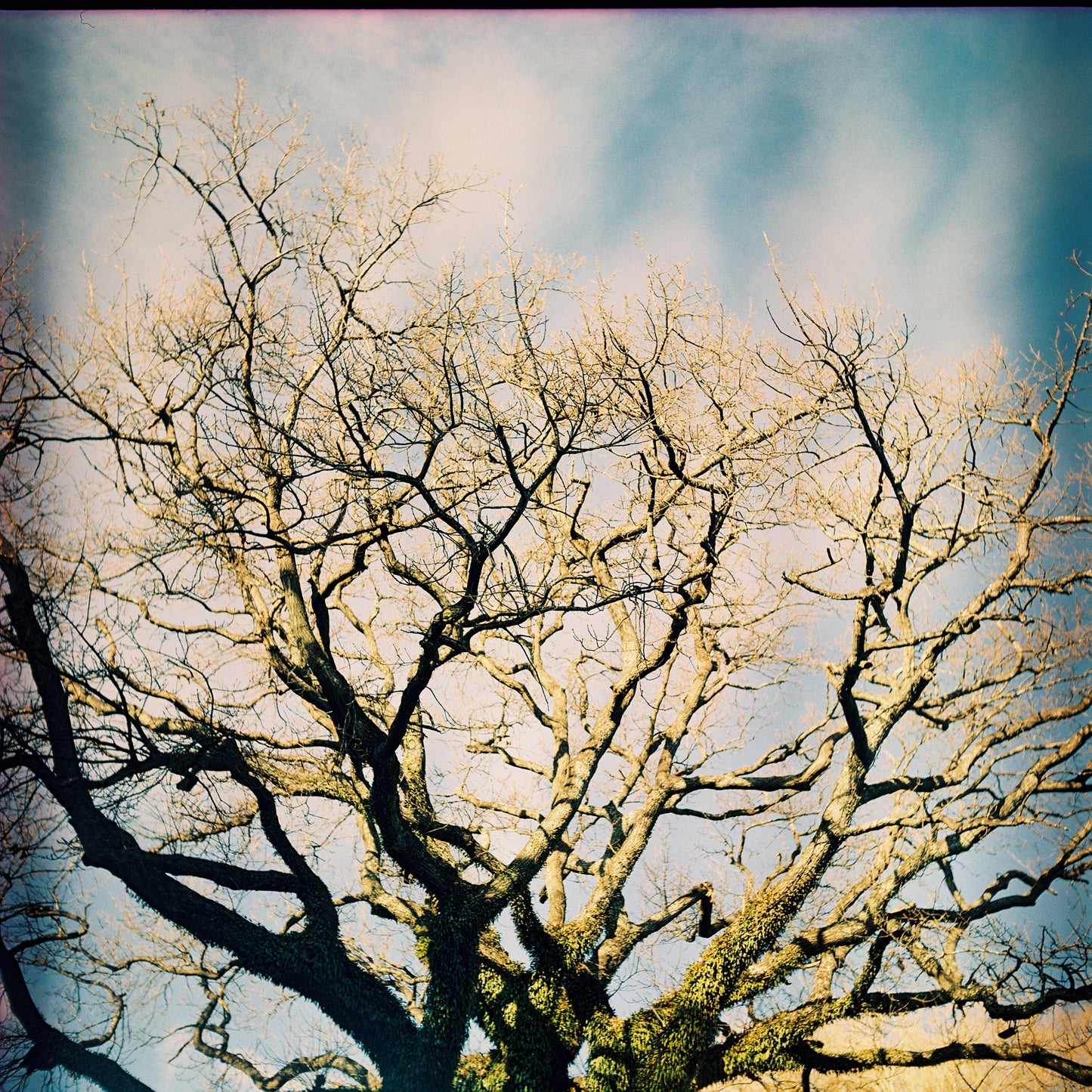 Yashica-Mat - EM