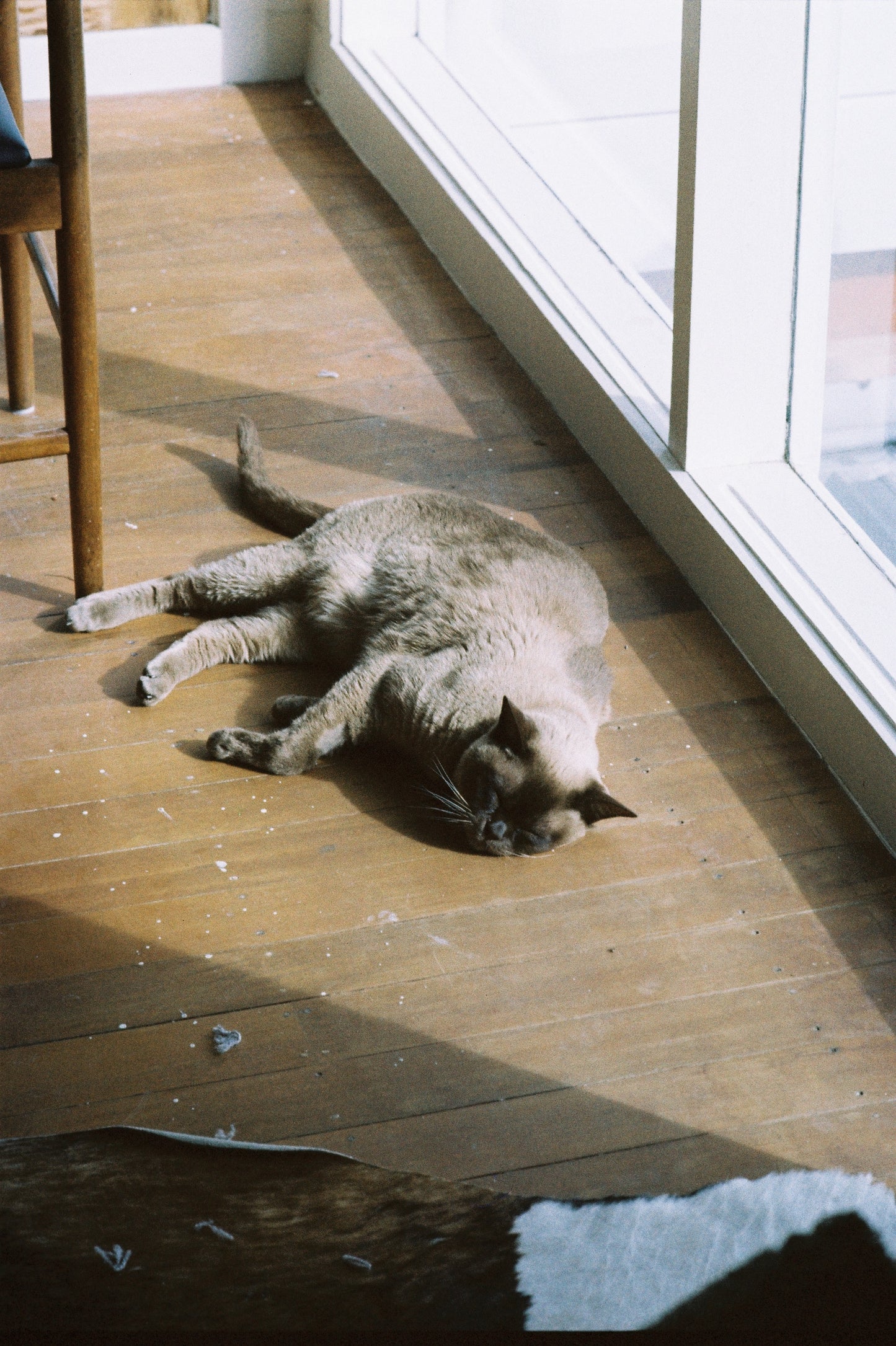 Nikon F2 with 85mm f/1.8
