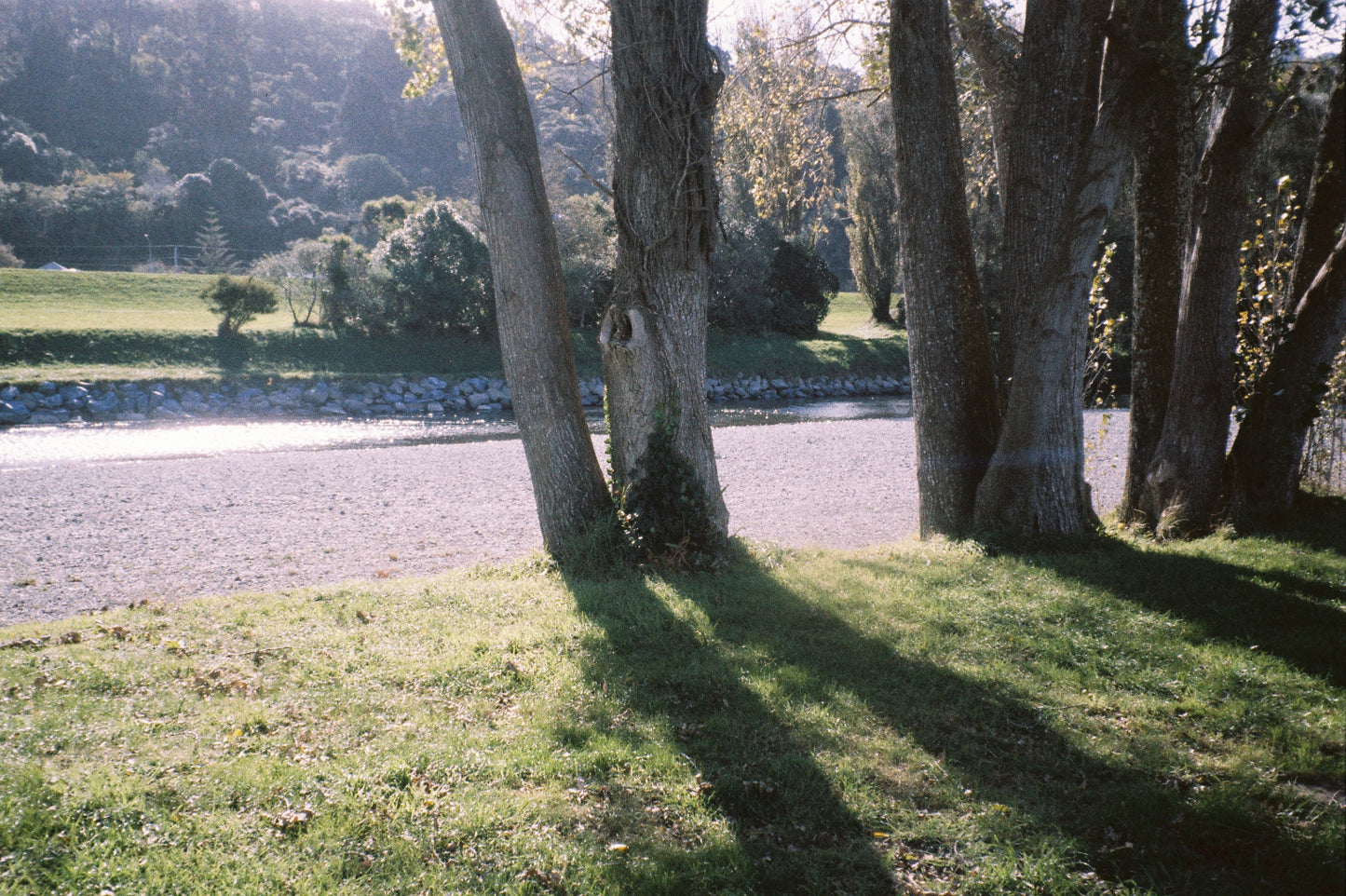 Minolta Zoom AF 65