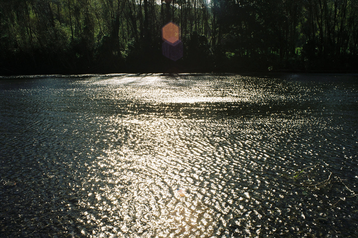 Olympus OM1
