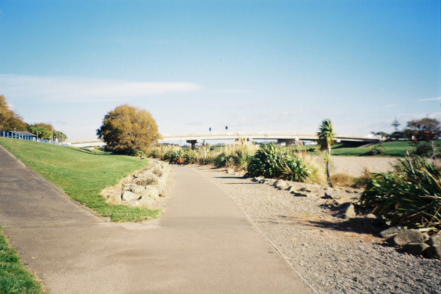 Minolta Riva zoom 70