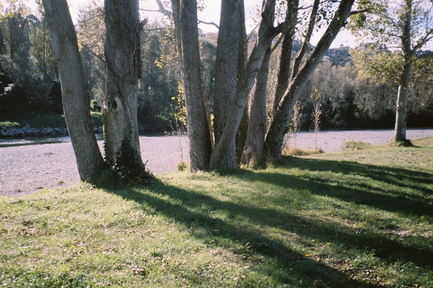 Minolta Zoom AF 65