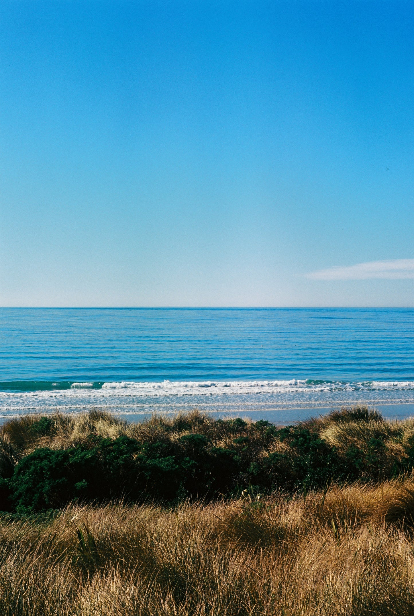 Kodak Ektar 100 - 36exp