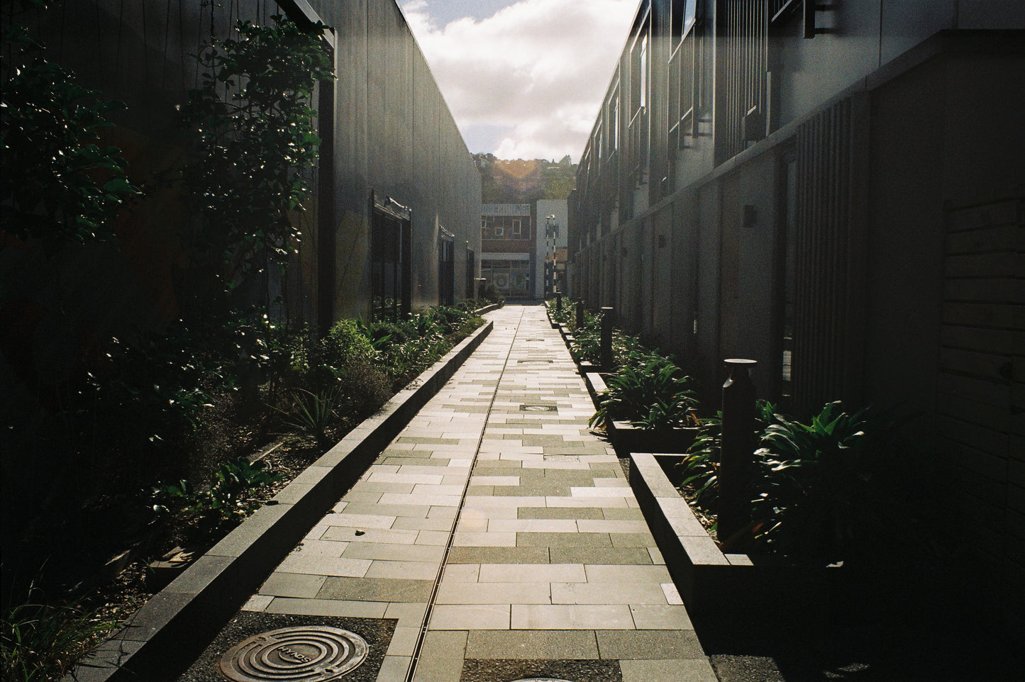 Olympus OM1