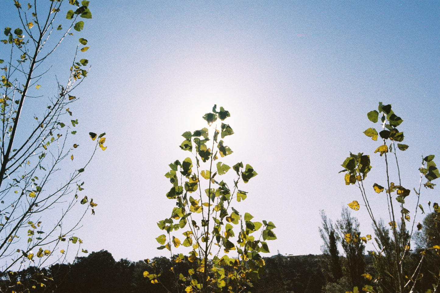 Minolta Dynax 300si