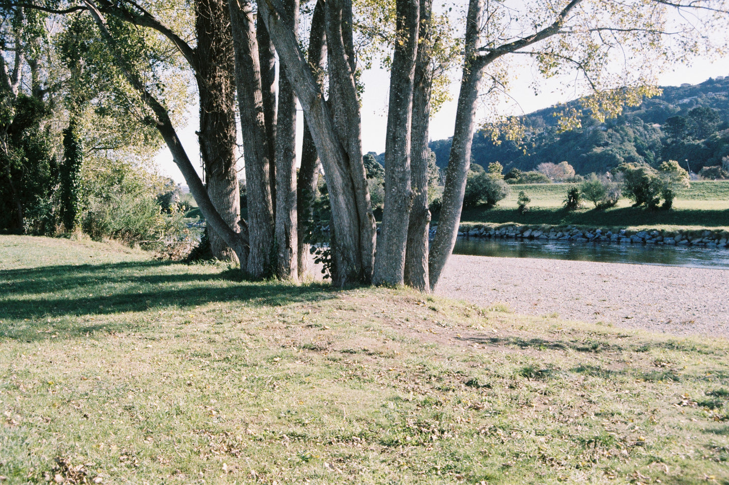 Minolta Dynax 300si