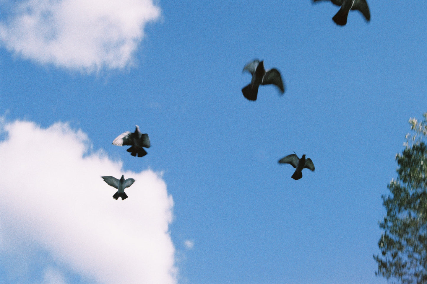 Minolta Dynax 300si
