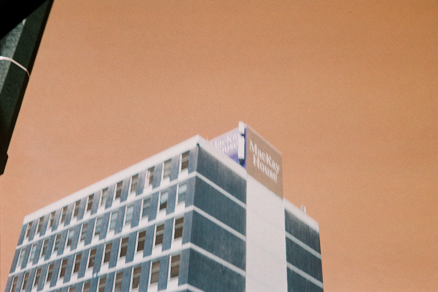 Olympus Trip 35