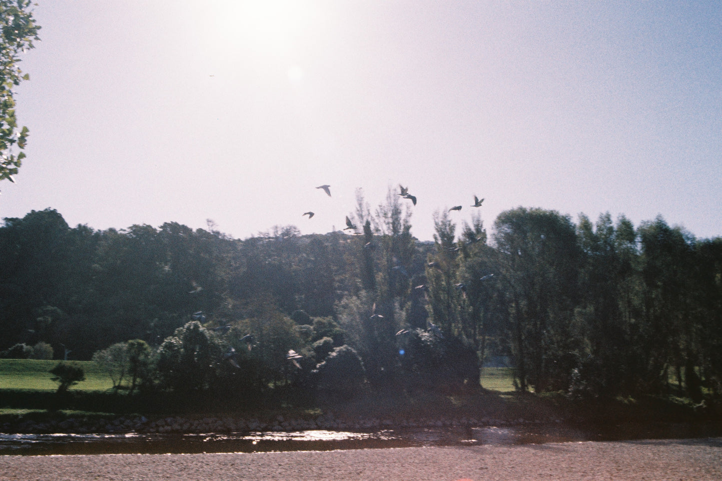 Minolta Dynax 300si