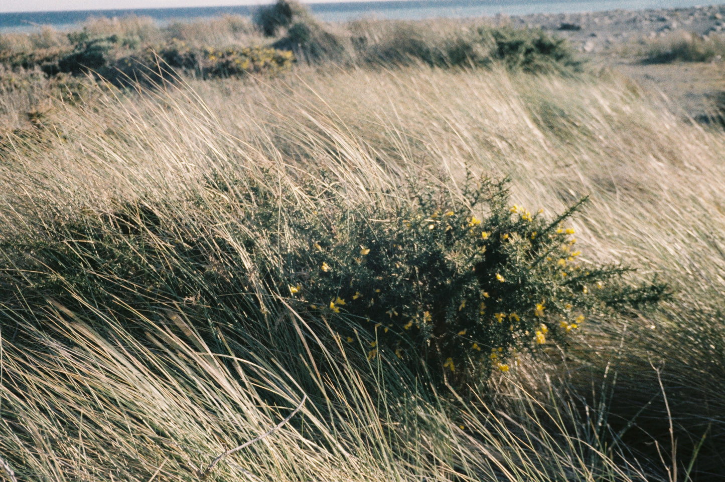 Canon Sureshot 60 Zoom
