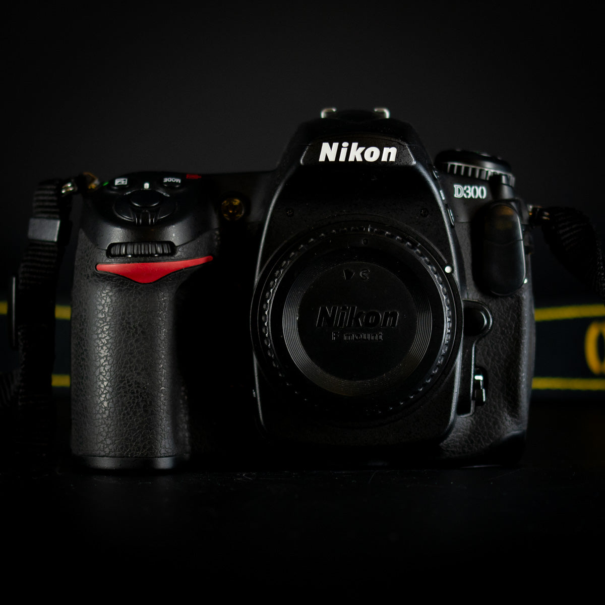 Nikon D300 with Nikkor 18-55mm VR II