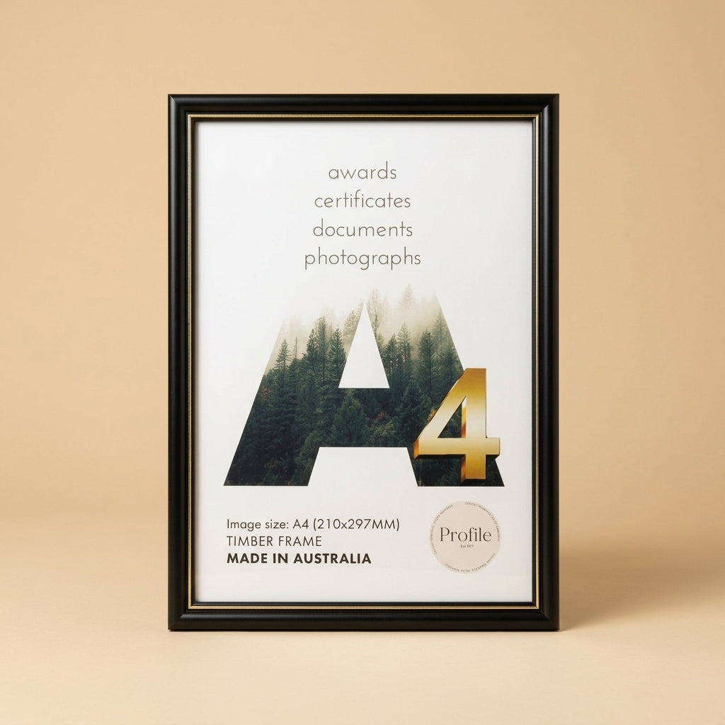 Frame - Profile - 147 - Black/Gold