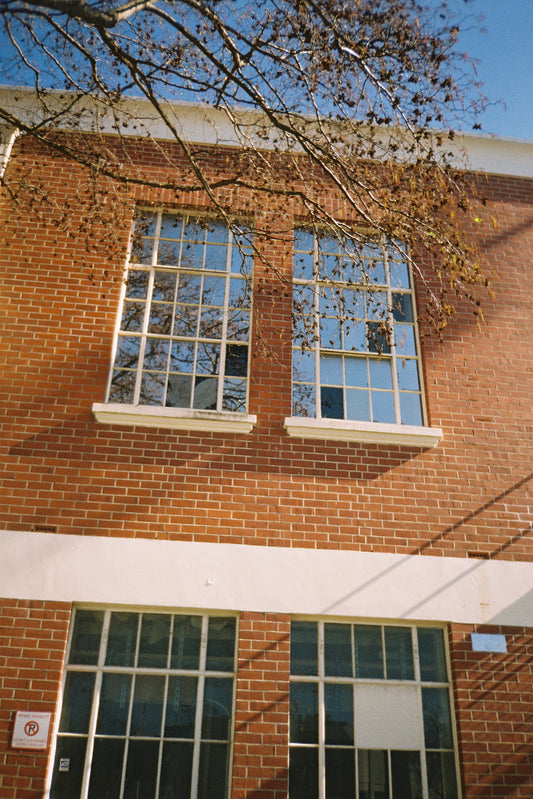 Sample shot on Kodak Gold 200: brick building with tall white-framed windows and bare branches