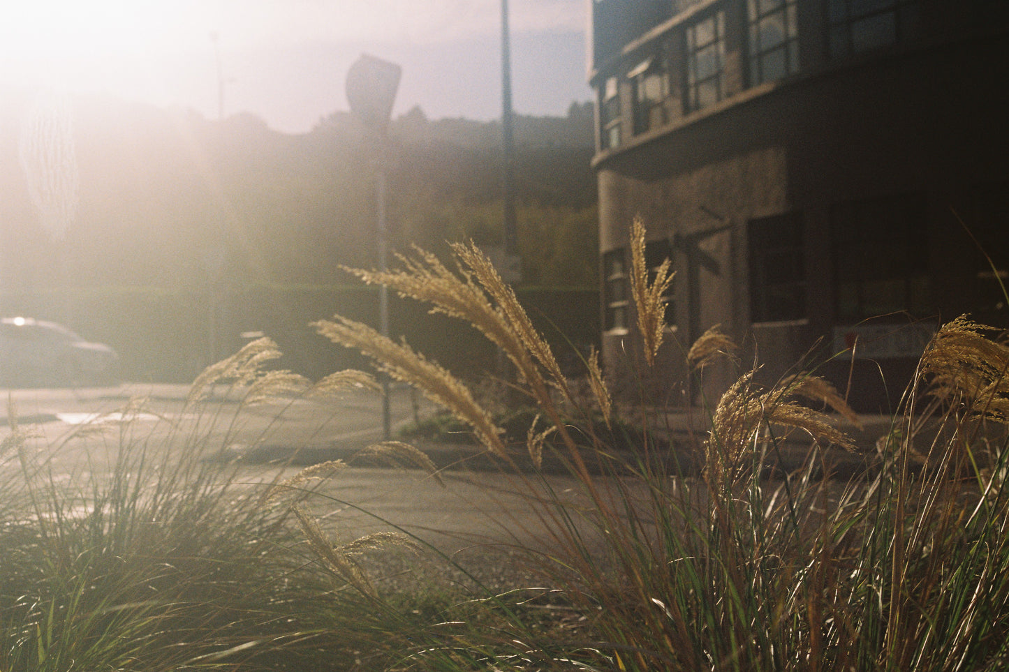 Kodak GOLD 200 - x3 24exp