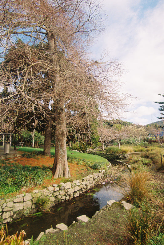 Fujifilm Fujicolor 400