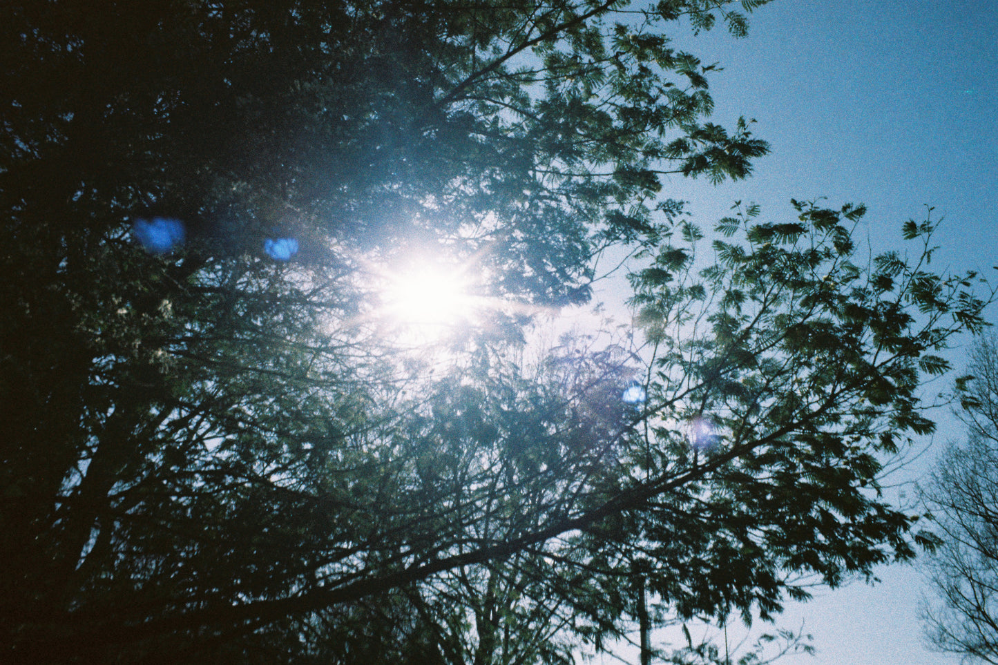 Olympus mju Zoom 140