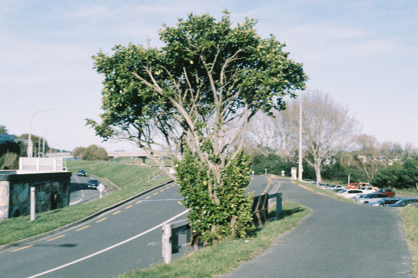 Minolta XG-2 + 50mm f/1.7