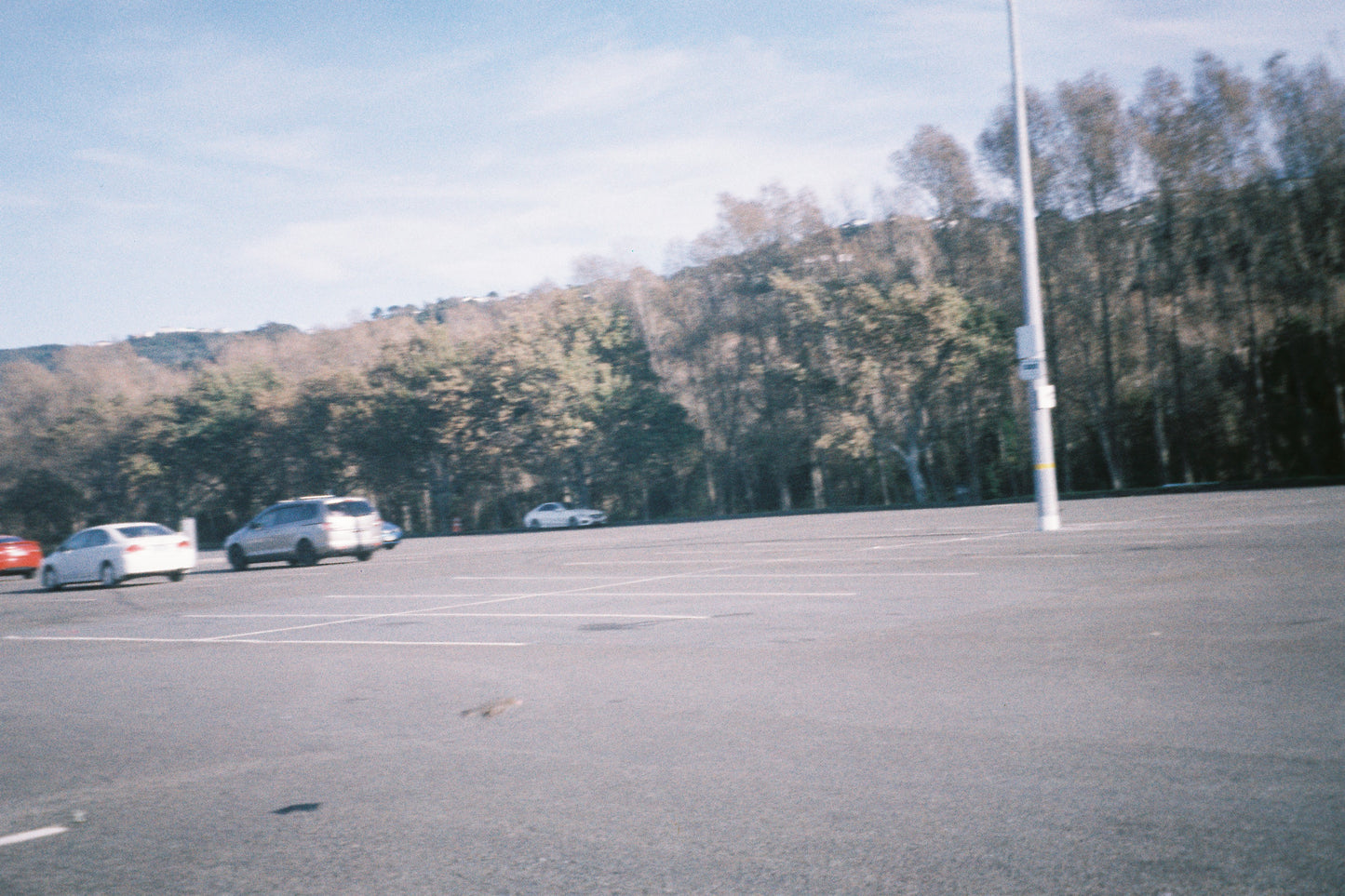 Pentax Espio 115
