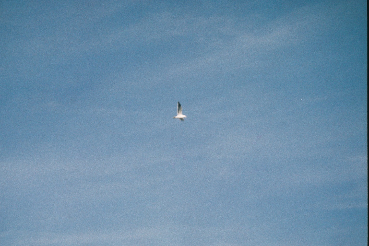 Pentax Espio 115