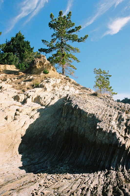 Sample shot: pine trees on a pale rocky bluff under deep blue sky