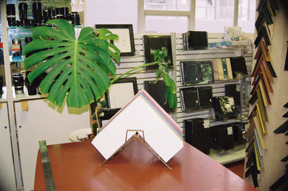 Framing store with picture frames on display, a plant, and a table with a white frame.