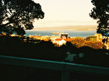 Harman Phoenix 200 - 120 Format