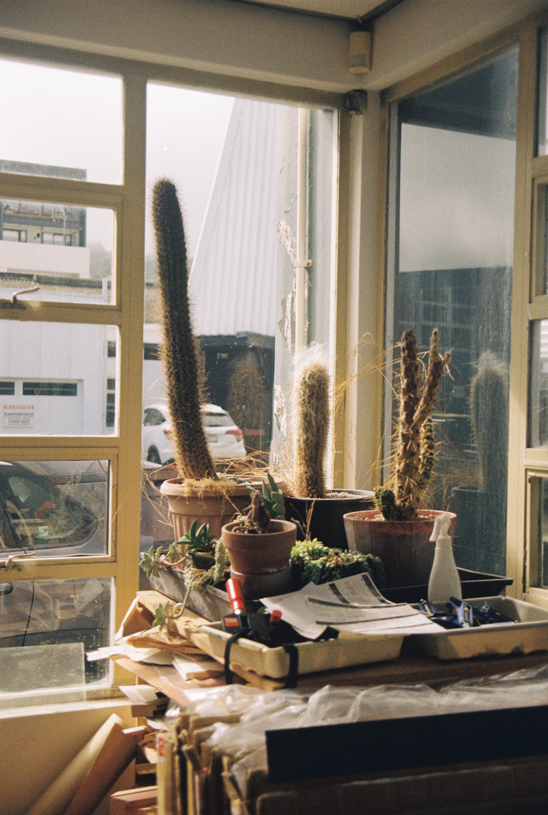 Sample photo shot on Canon EOS 5 35mm SLR Camera with 28-105mm, frame 1