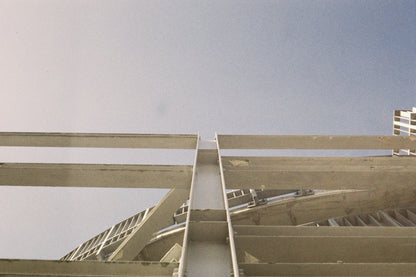 Ilfocolor 400 plus Vintage Tone 35mm Film