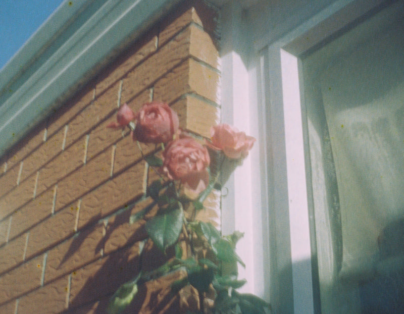 Sample photo shot on Kodak EKTRALITE  10 - 110 Film Camera, frame 2