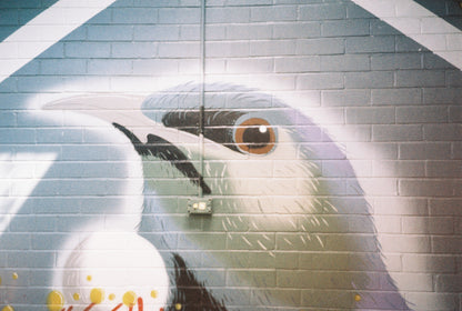 Nikon Zoom 310 AF