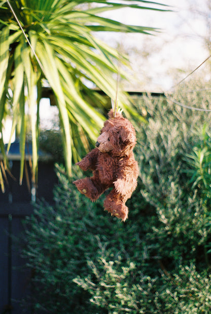 Pentax K1000