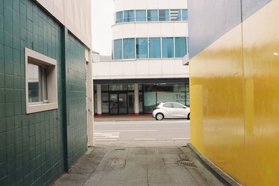 Sample photo shot on Pentax Spotmatic SP II with 50mm f/1.4, frame 8