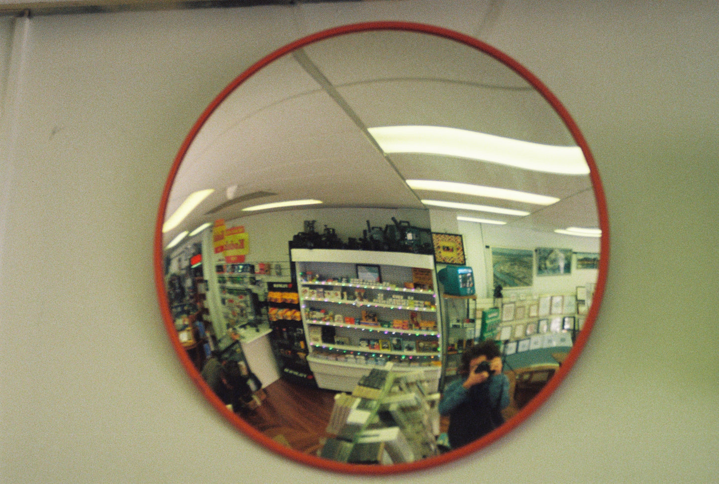 Nikon F501