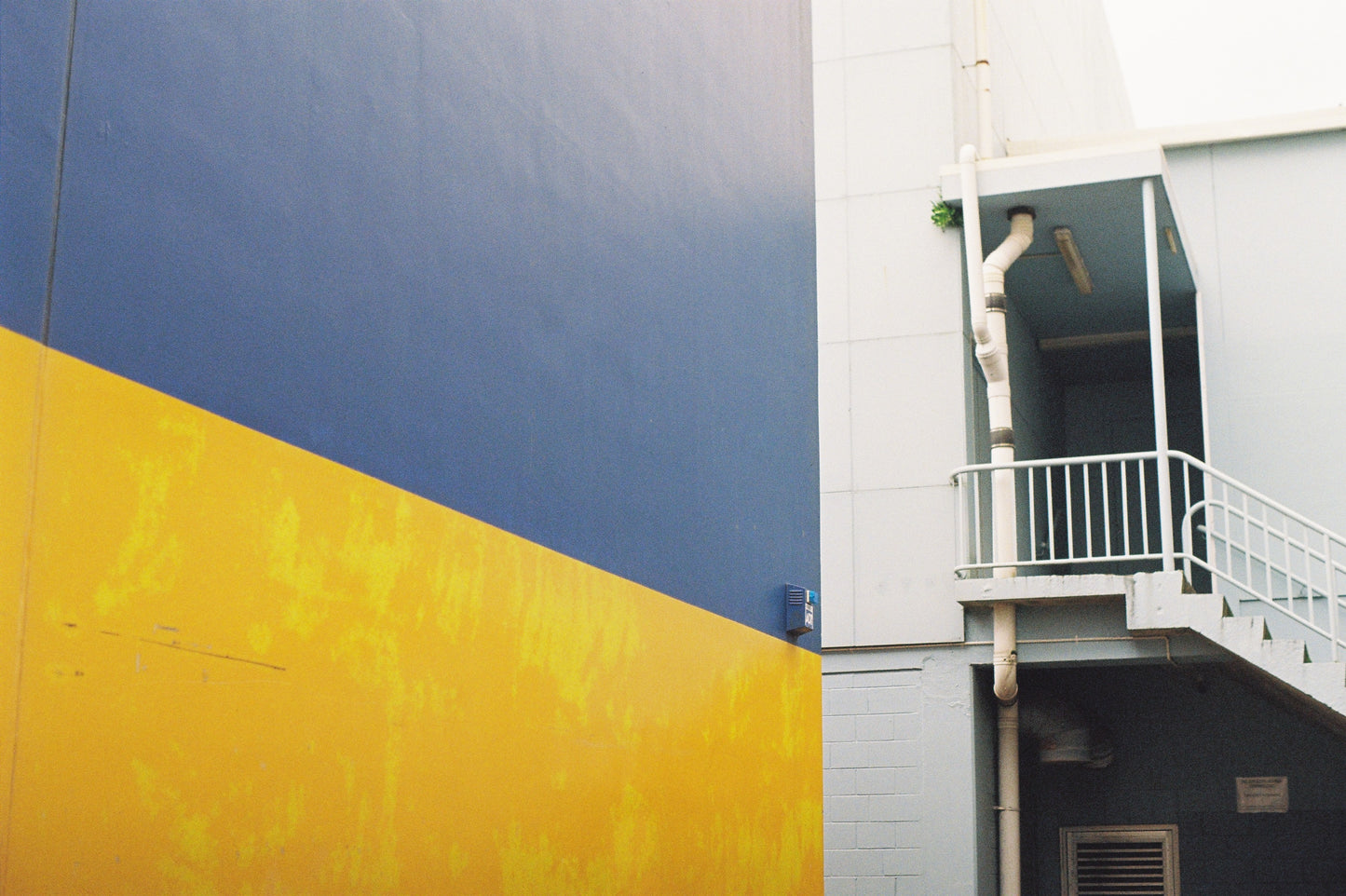 Pentax Spotmatic SP II with 50mm f/1.4