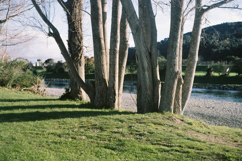 Sample photo shot on Agfa Super Silette, frame 2