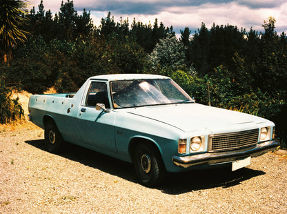 Harman Phoenix 200 - 120 Format