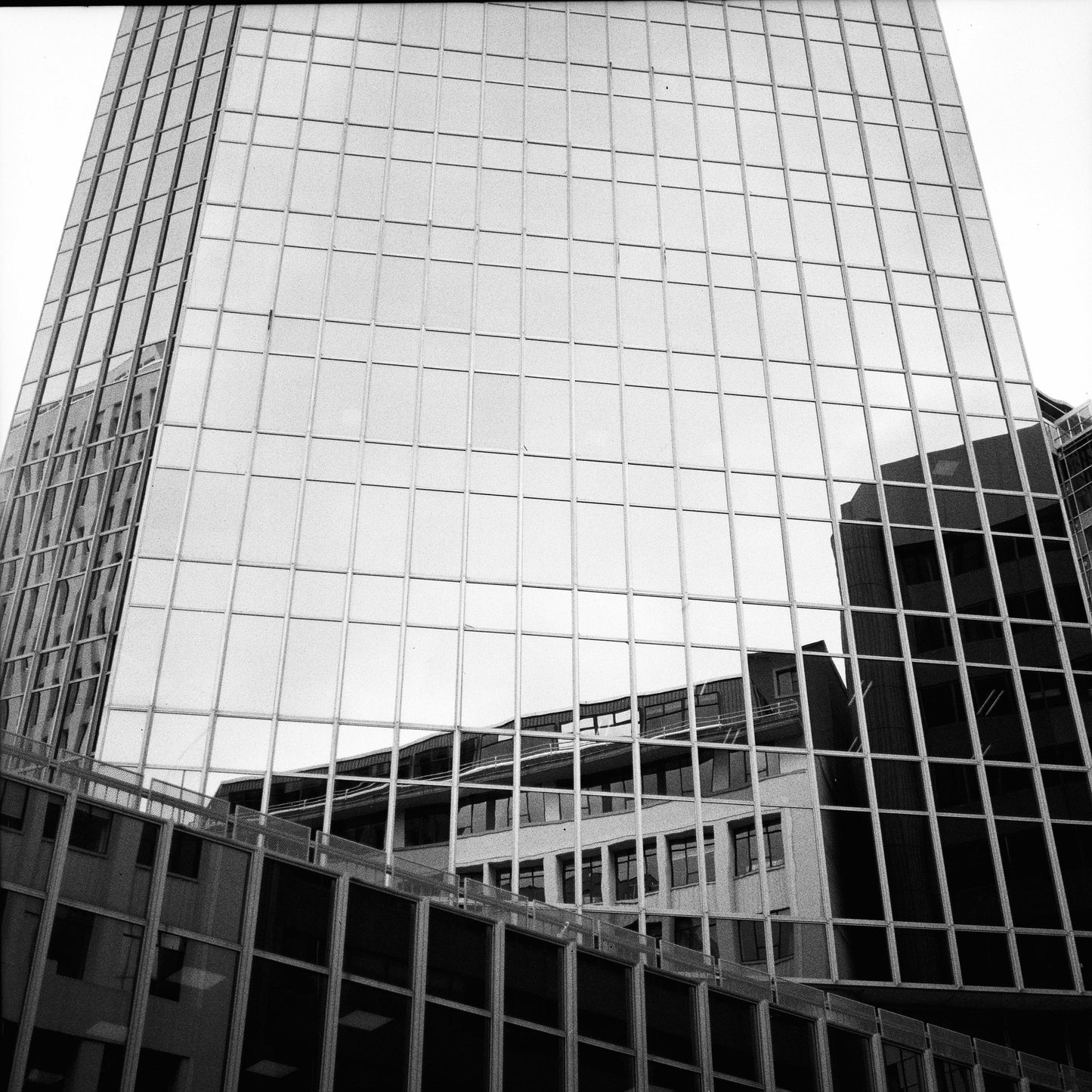 Zenza Bronica (6x6) with Nikkor-P 75mm f/2.8