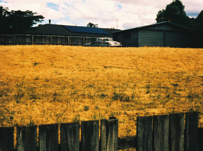 Harman Phoenix 200 - 120 Format