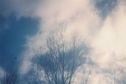 Minolta A5