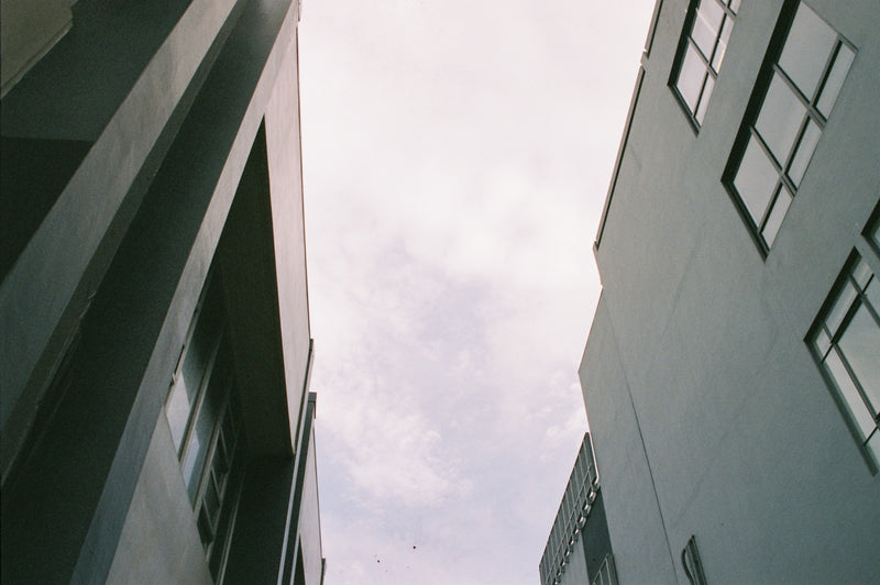 Sample photo shot on Pentax ZX-30, frame 5