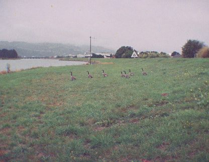 Kodak EKTRA  10 - 110 Film Camera
