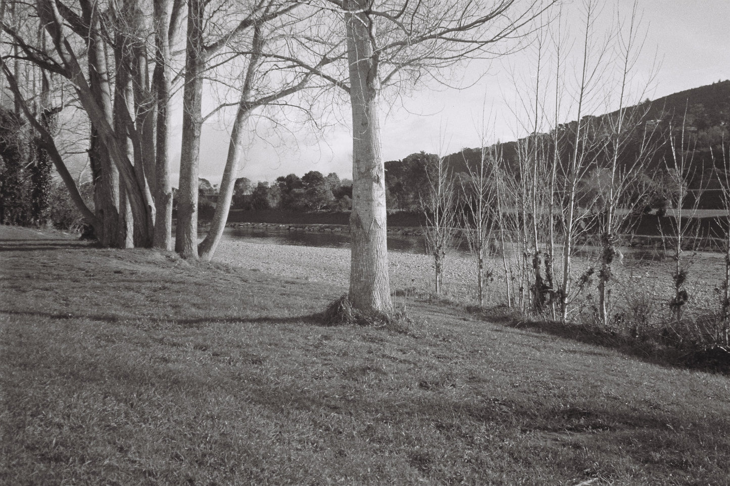 Pentax Espio 738