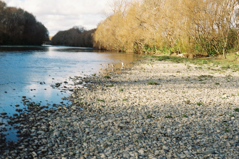 Sample photo shot on The Canonet SE 45mm f/1.9, frame 7