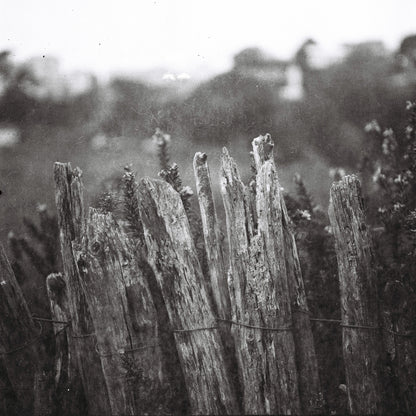 Yashica-Mat