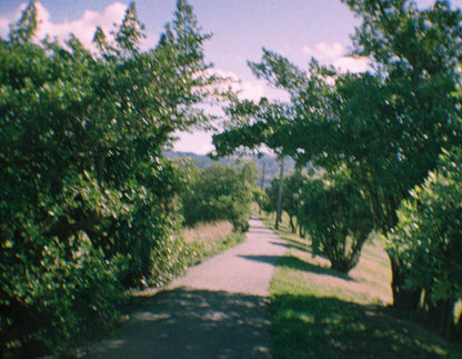 Kodak EKTRA  10 - 110 Film Camera