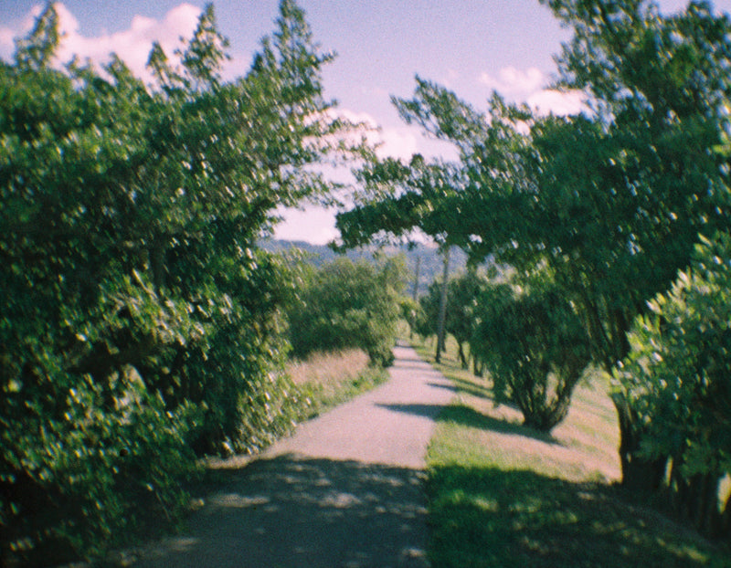 Sample photo shot on Kodak EKTRA  10 - 110 Film Camera, frame 10