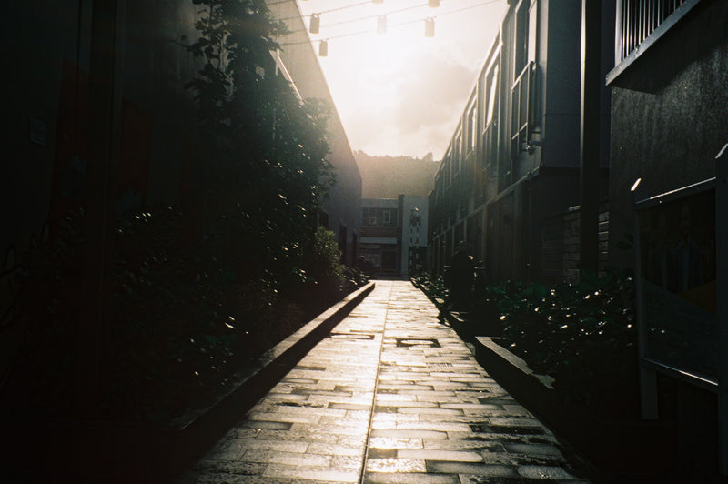 Sample photo shot on Pentax Zoom 70, frame 3