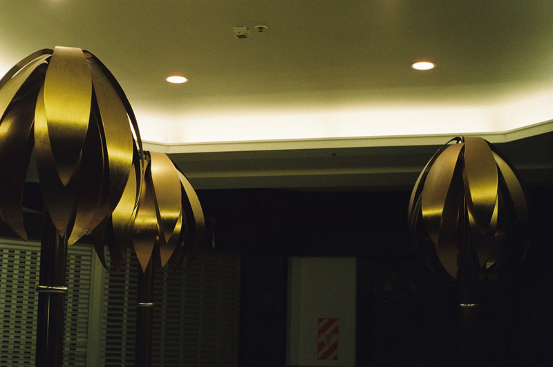 Sample photo shot on Pentax Spotmatic with Pentacon 50mm f/1.8, frame 3