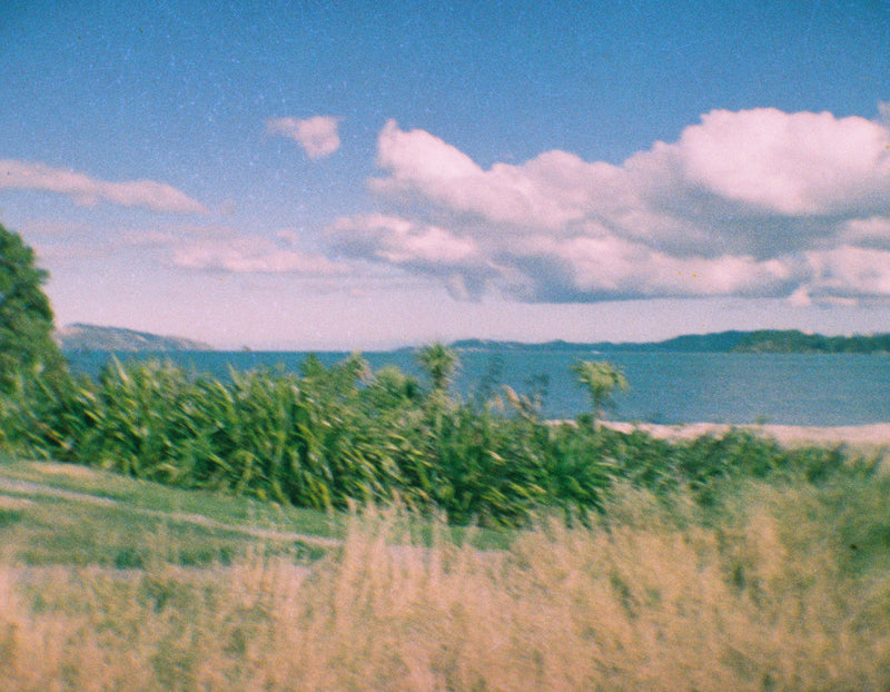 Sample photo shot on Kodak EKTRA  10 - 110 Film Camera, frame 11